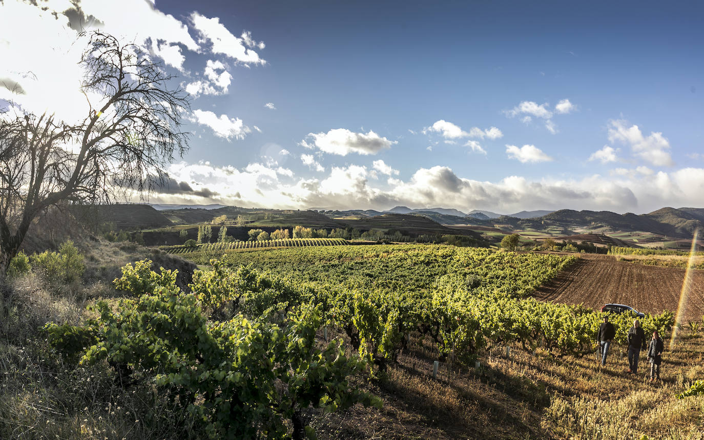 Los paisajes del Rioja