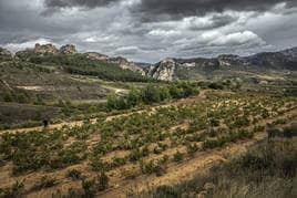 Los paisajes del Rioja