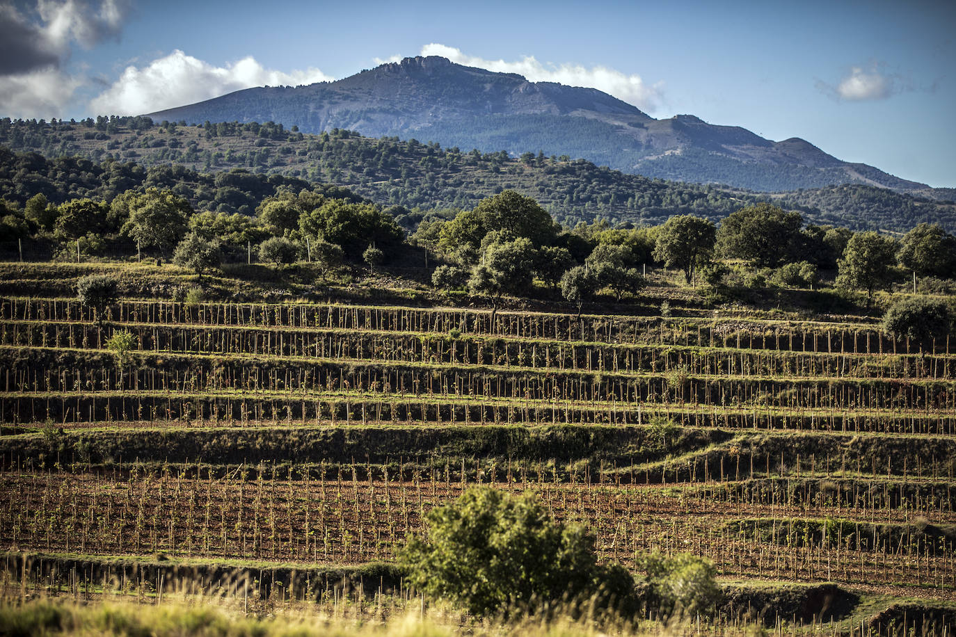 Los paisajes del Rioja