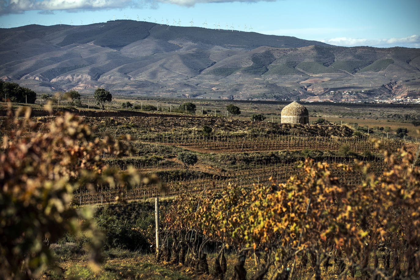 Los paisajes del Rioja
