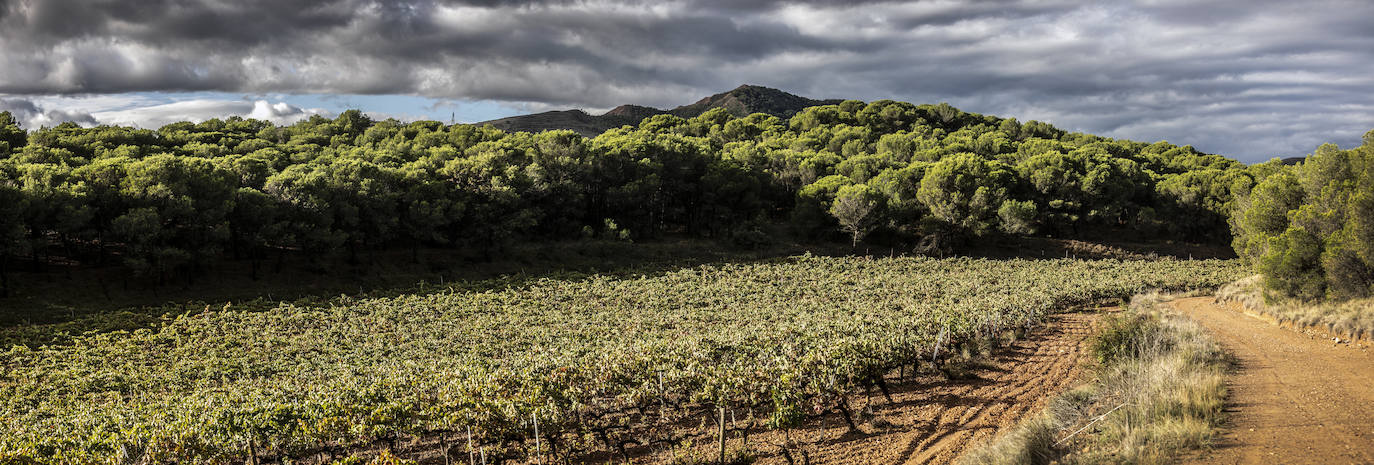 Los paisajes del Rioja