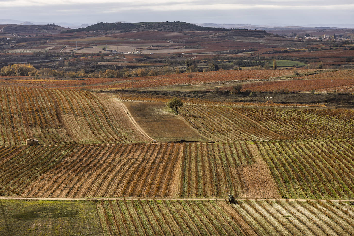 Los paisajes del Rioja