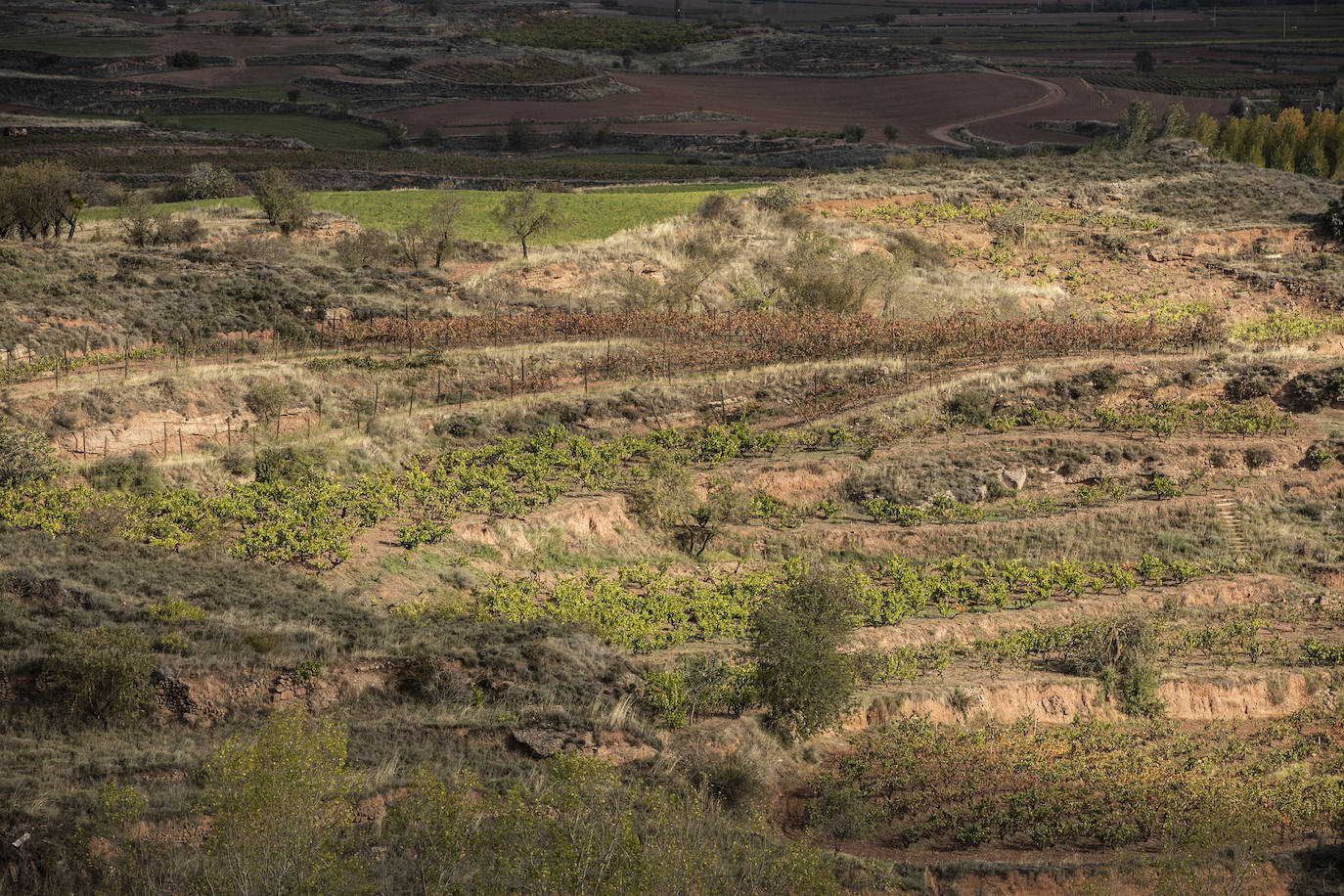 Los paisajes del Rioja