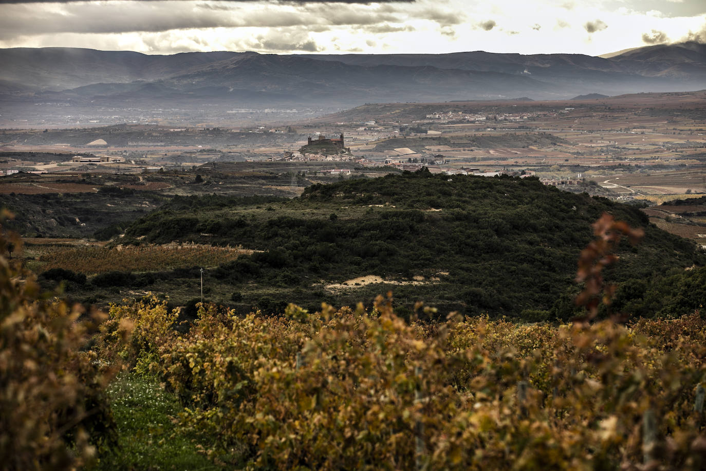 Los paisajes del Rioja