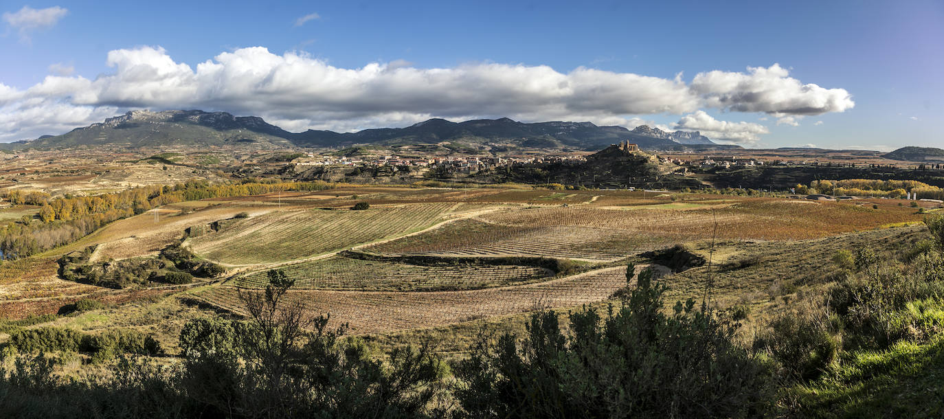Los paisajes del Rioja