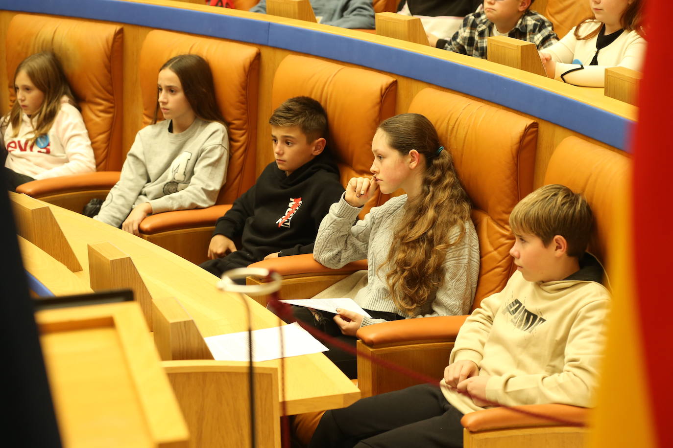 III Pleno infantil y adolescente de La Rioja