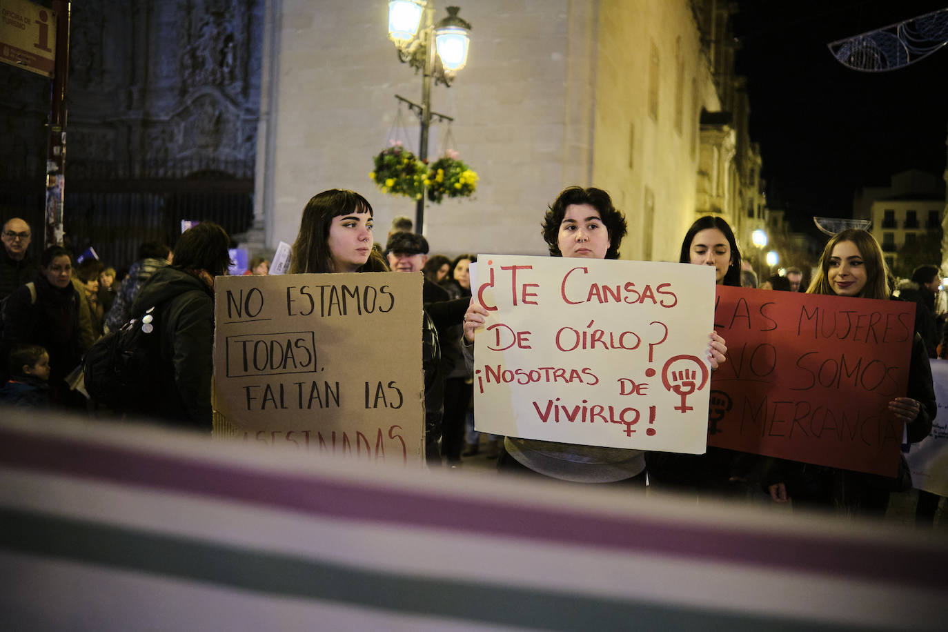 Las imágenes de la manifestación del 25N en Logroño