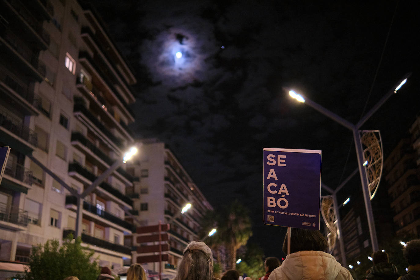 Las imágenes de la manifestación del 25N en Logroño