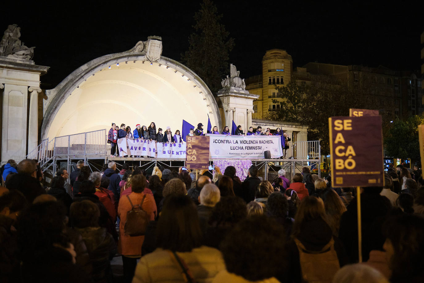 Las imágenes de la manifestación del 25N en Logroño