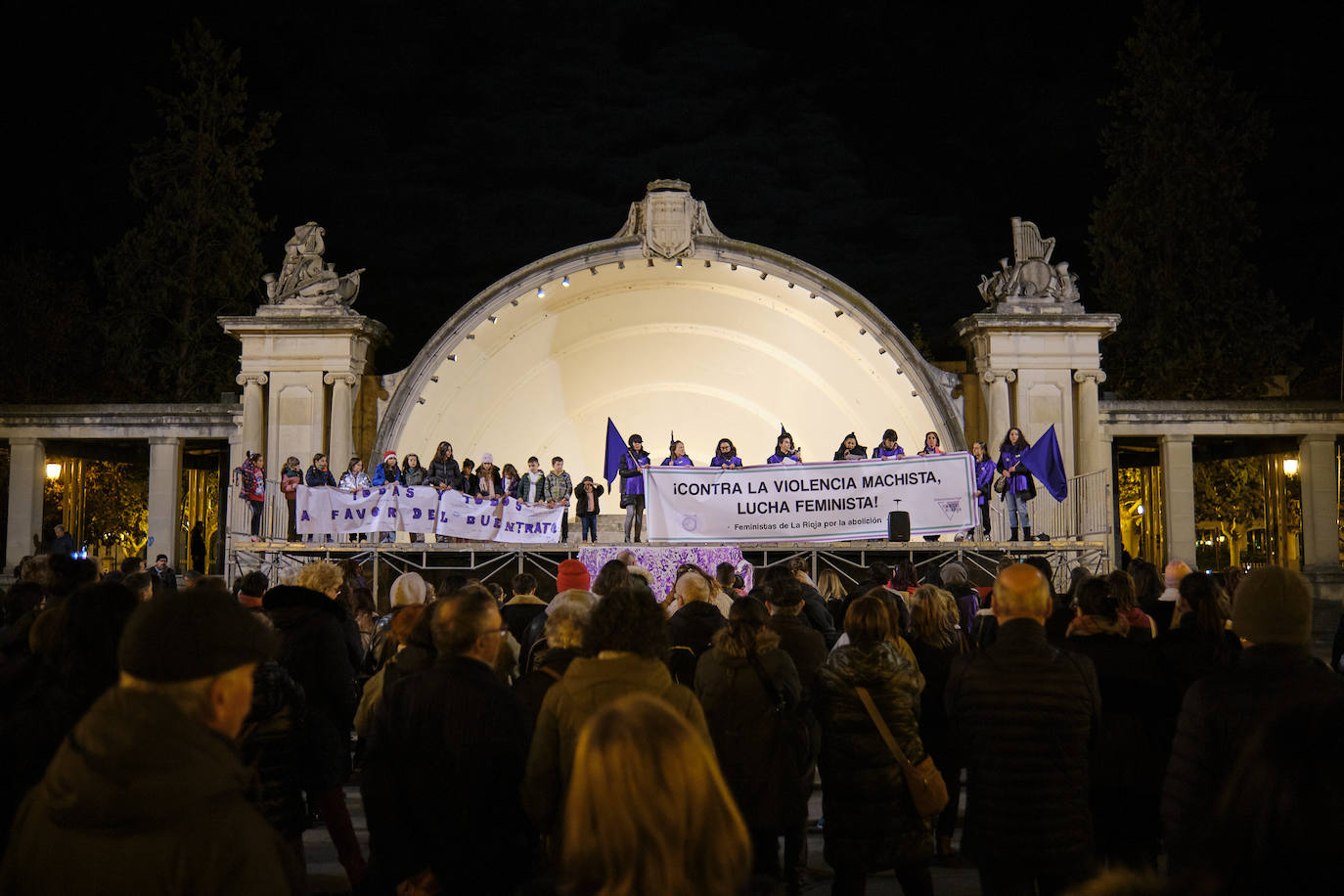 Las imágenes de la manifestación del 25N en Logroño