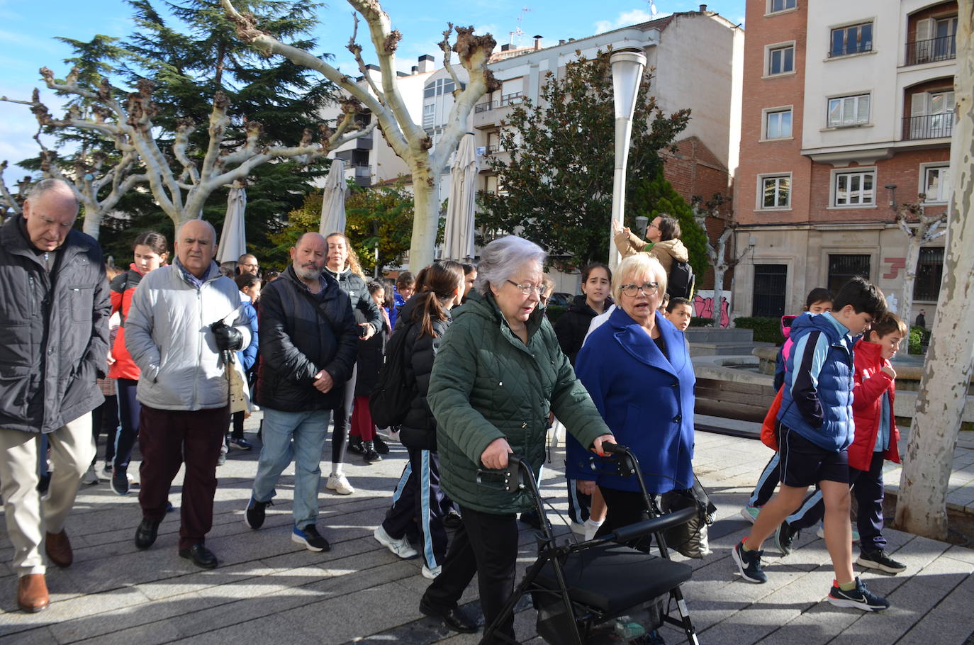 Marcha por el Día Internacional de las Personas con Discapacidad