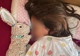 «Se busca peluche de conejito en Logroño»