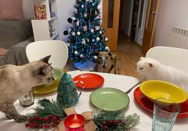 Ari, Flaca y Lola, expectantes ante una cena de Navidad en una casa de Logroño.