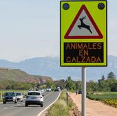 En casi la mitad de los siniestros de tráfico en La Rioja hay implicados animales sueltos