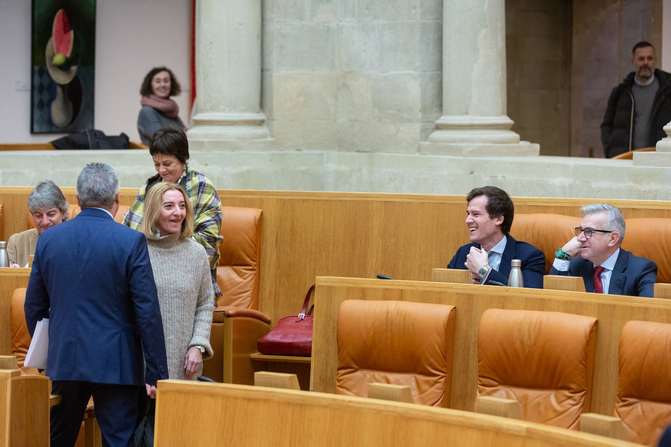 Las imágenes del Pleno del Parlamento de La Rioja