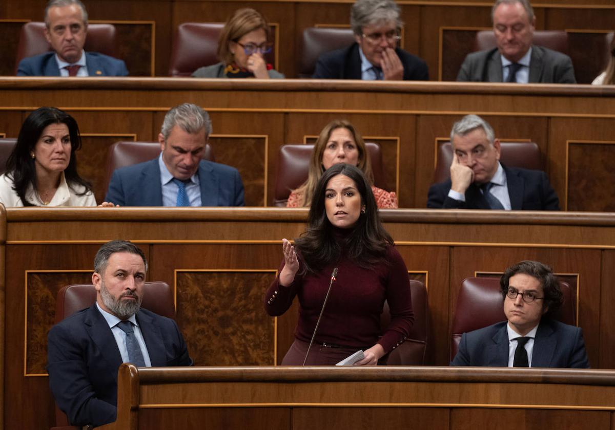 Los parlamentarios de VOX, en una sesión en el Congreso de los Diputados.