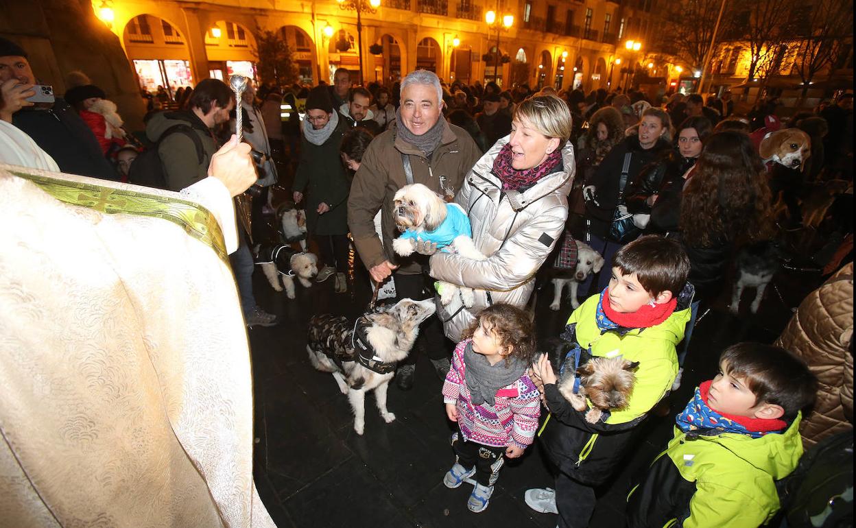 Bendión de animales en Logroño. 