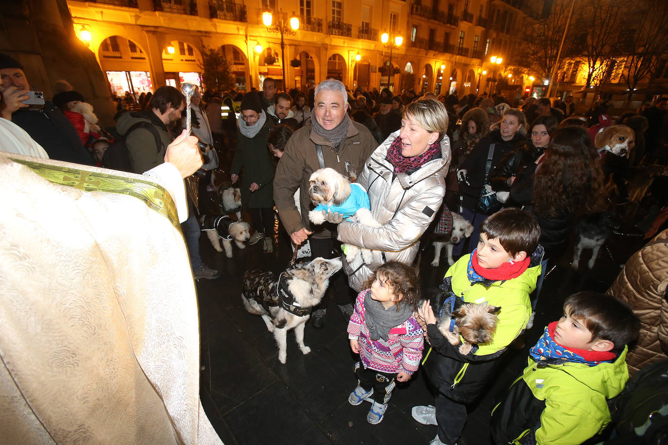 Bendición de animales en Logroño.