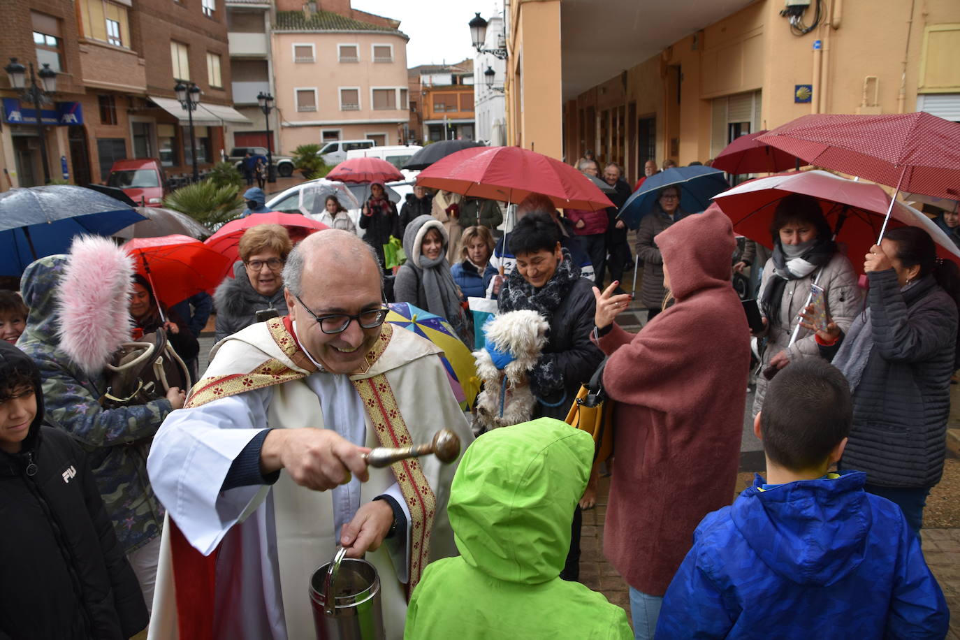Procesión y bendición de San Antón en Rincón de Soto.
