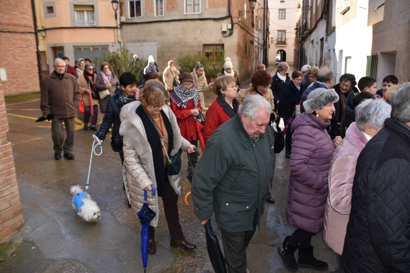 Procesión y bendición de San Antón en Rincón de Soto.