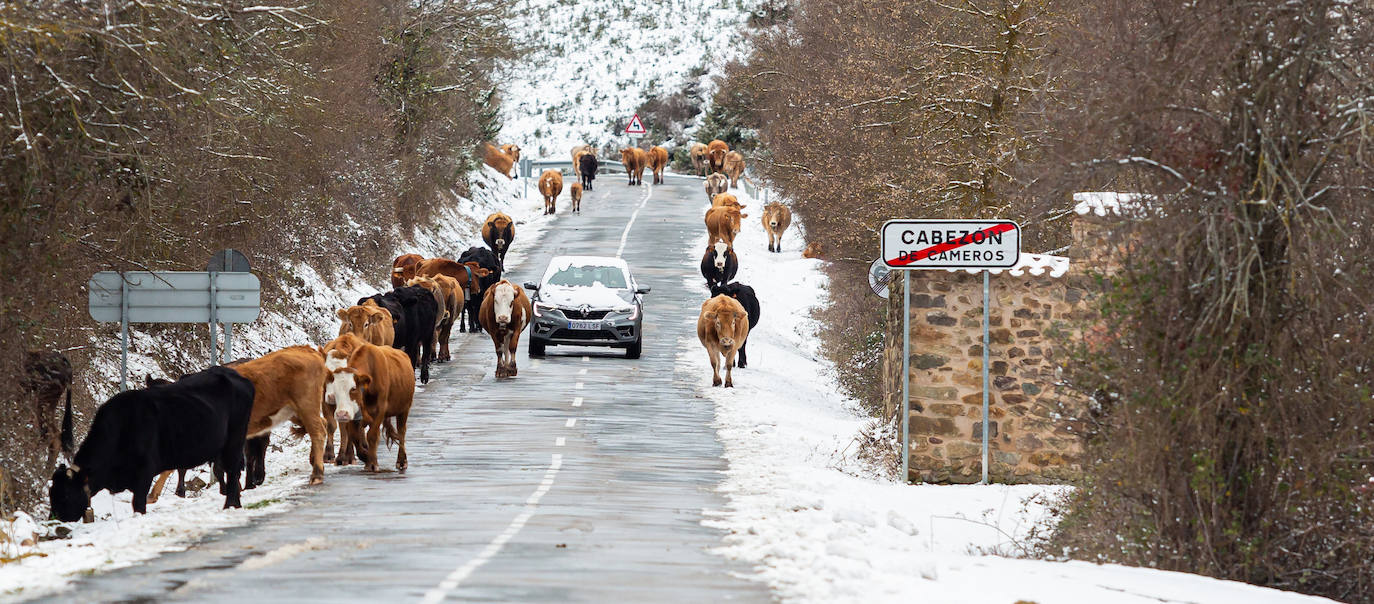 Fotos: las primeras nieves tiñen parte de La Rioja de blanco