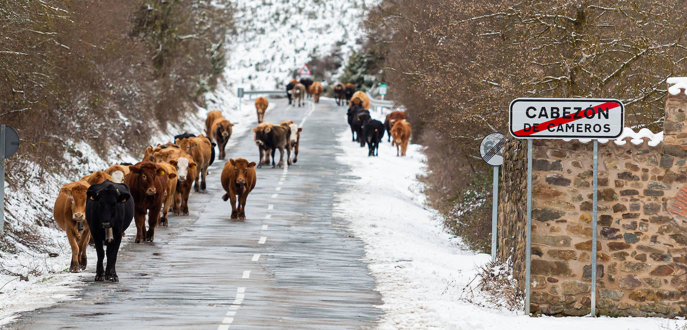 Fotos: las primeras nieves tiñen parte de La Rioja de blanco