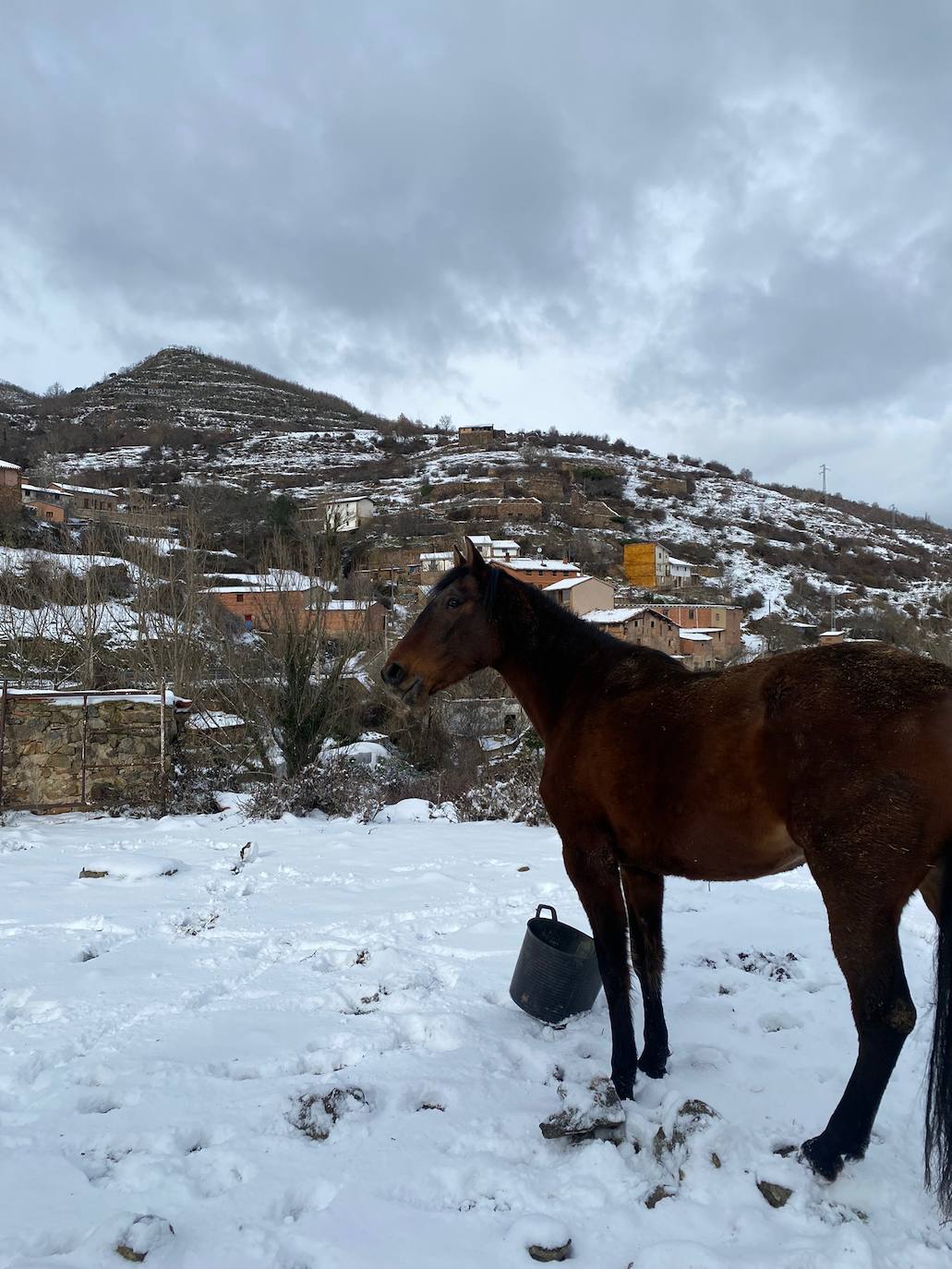 Fotos: La nieve y el hielo llegan a La Rioja