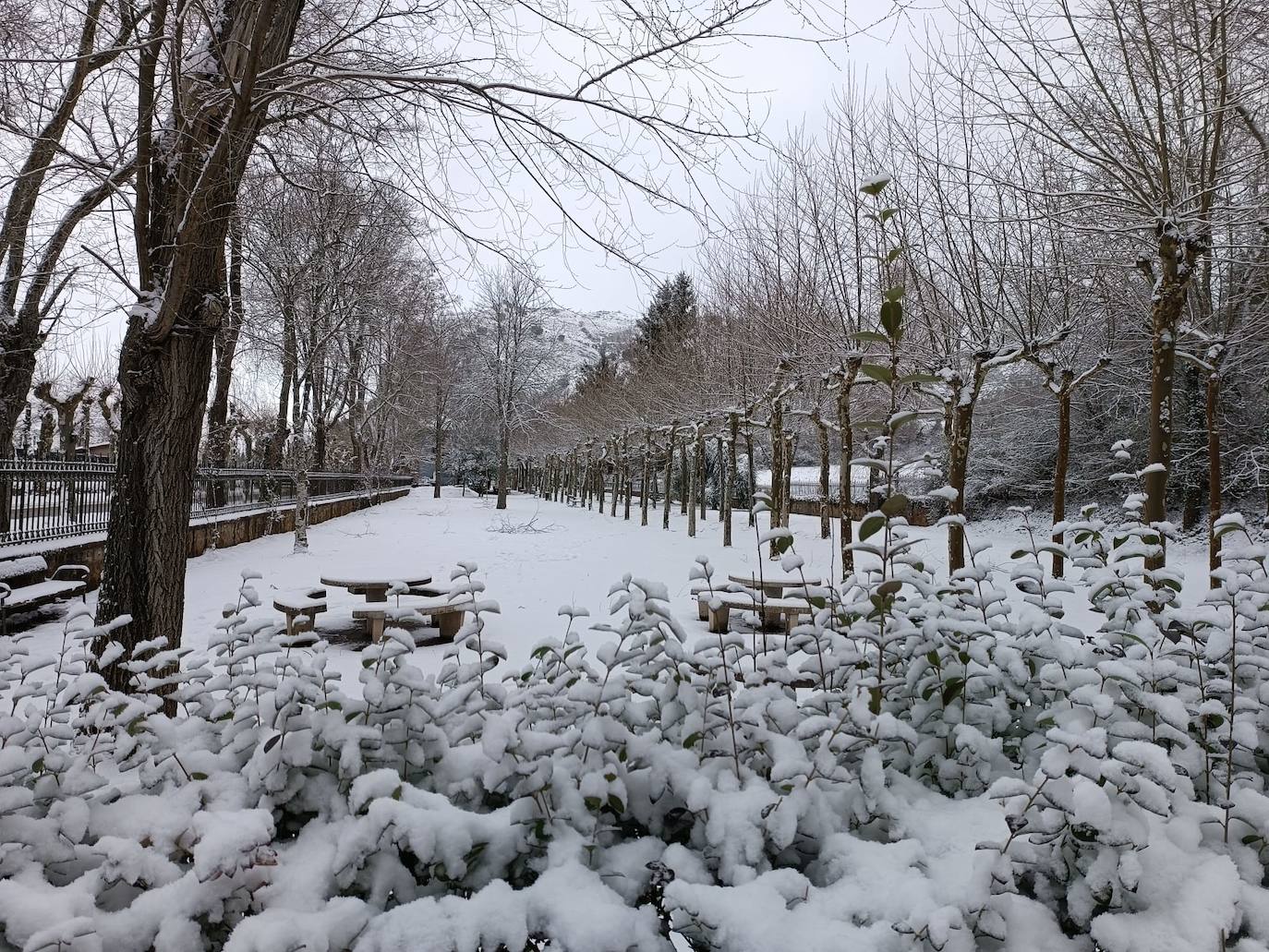 Fotos: La nieve y el hielo llegan a La Rioja