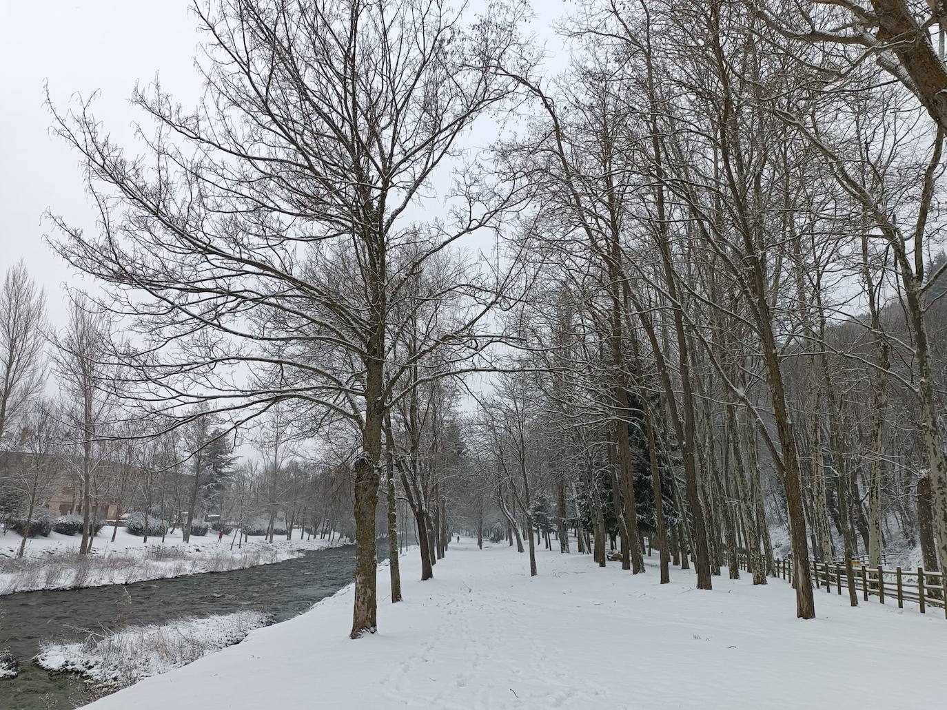 Fotos: La nieve y el hielo llegan a La Rioja