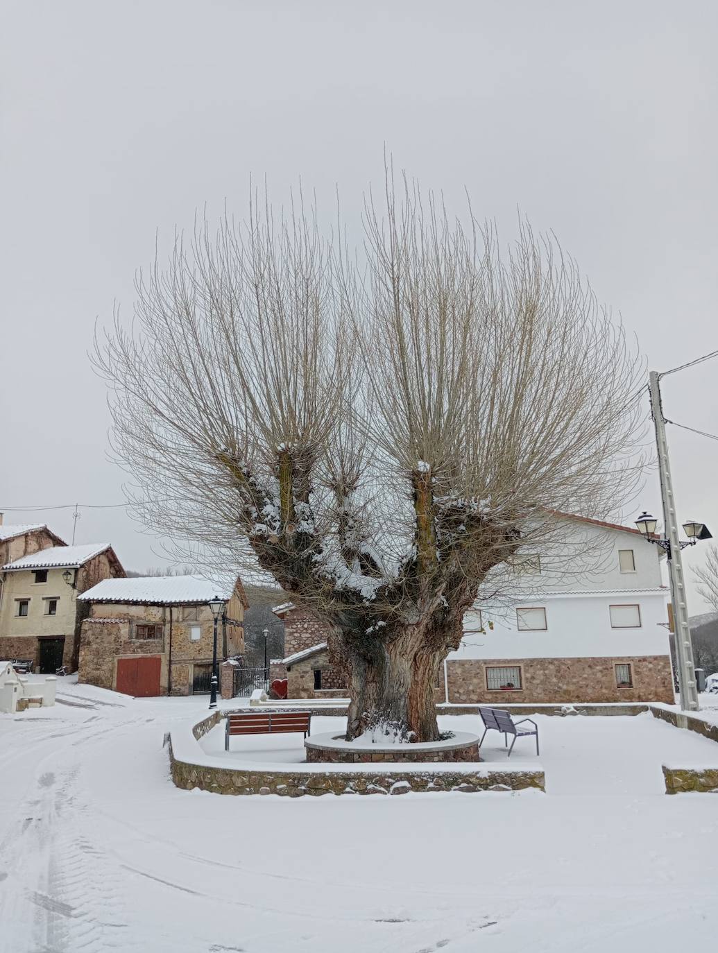 Fotos: La nieve y el hielo llegan a La Rioja