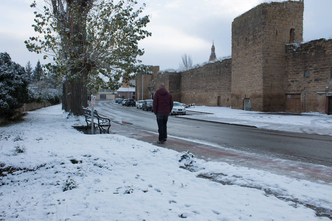 Fotos: La nieve y el hielo llegan a La Rioja