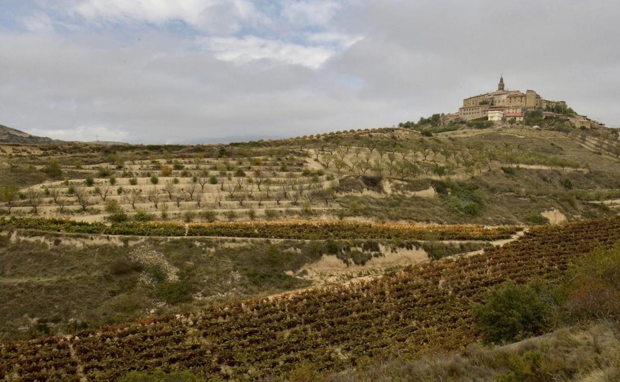 Viñedos y, al fondo, Labraza, pedanía de Oyón, en Rioja Alavesa. 