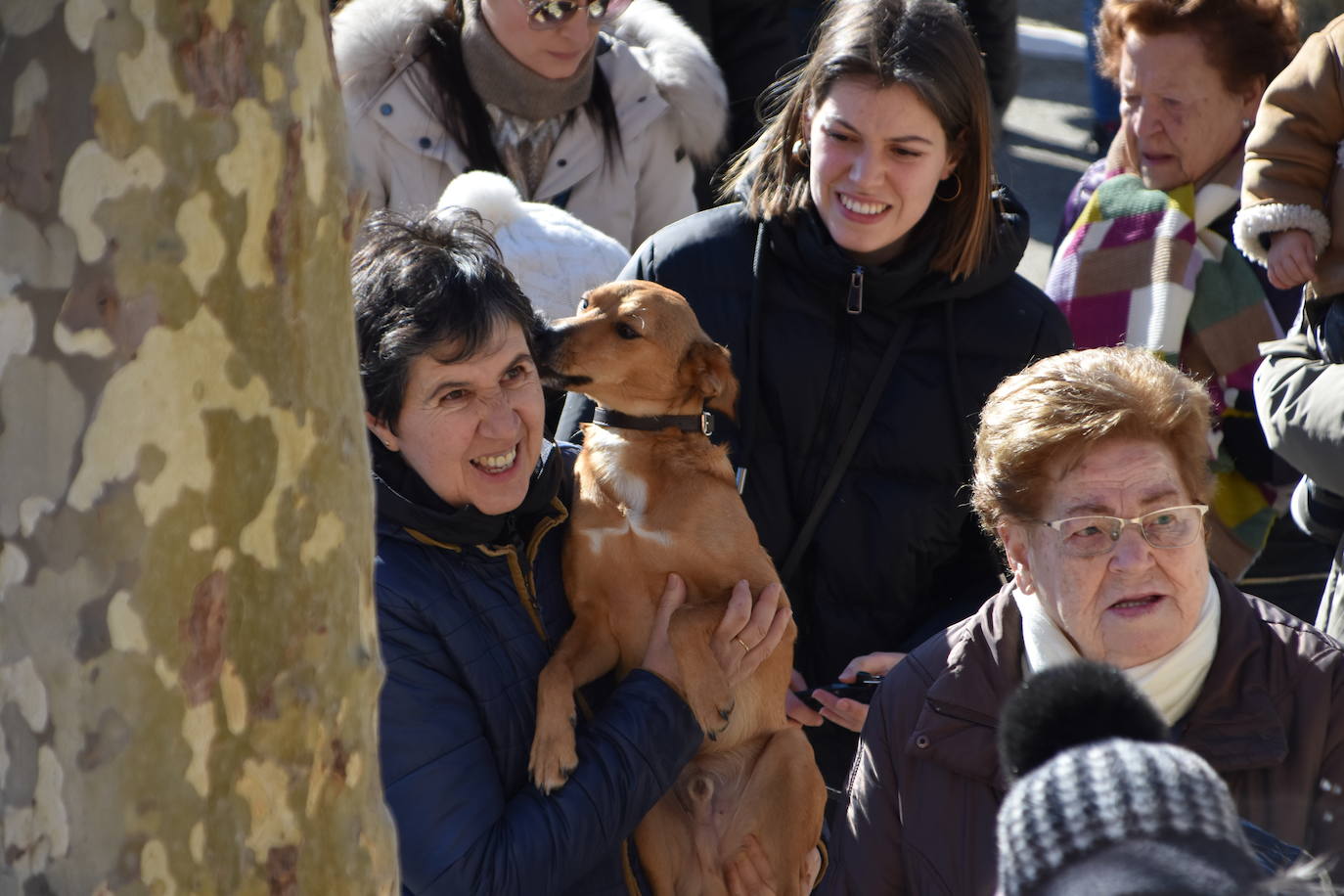 Fotos: Actos de San Antón en Calahorra