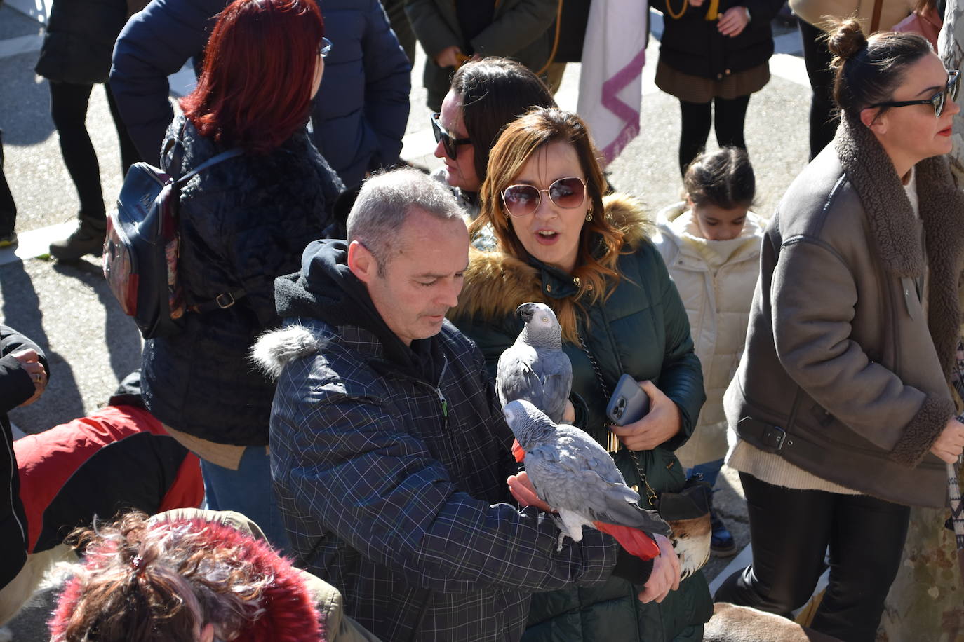 Fotos: Actos de San Antón en Calahorra