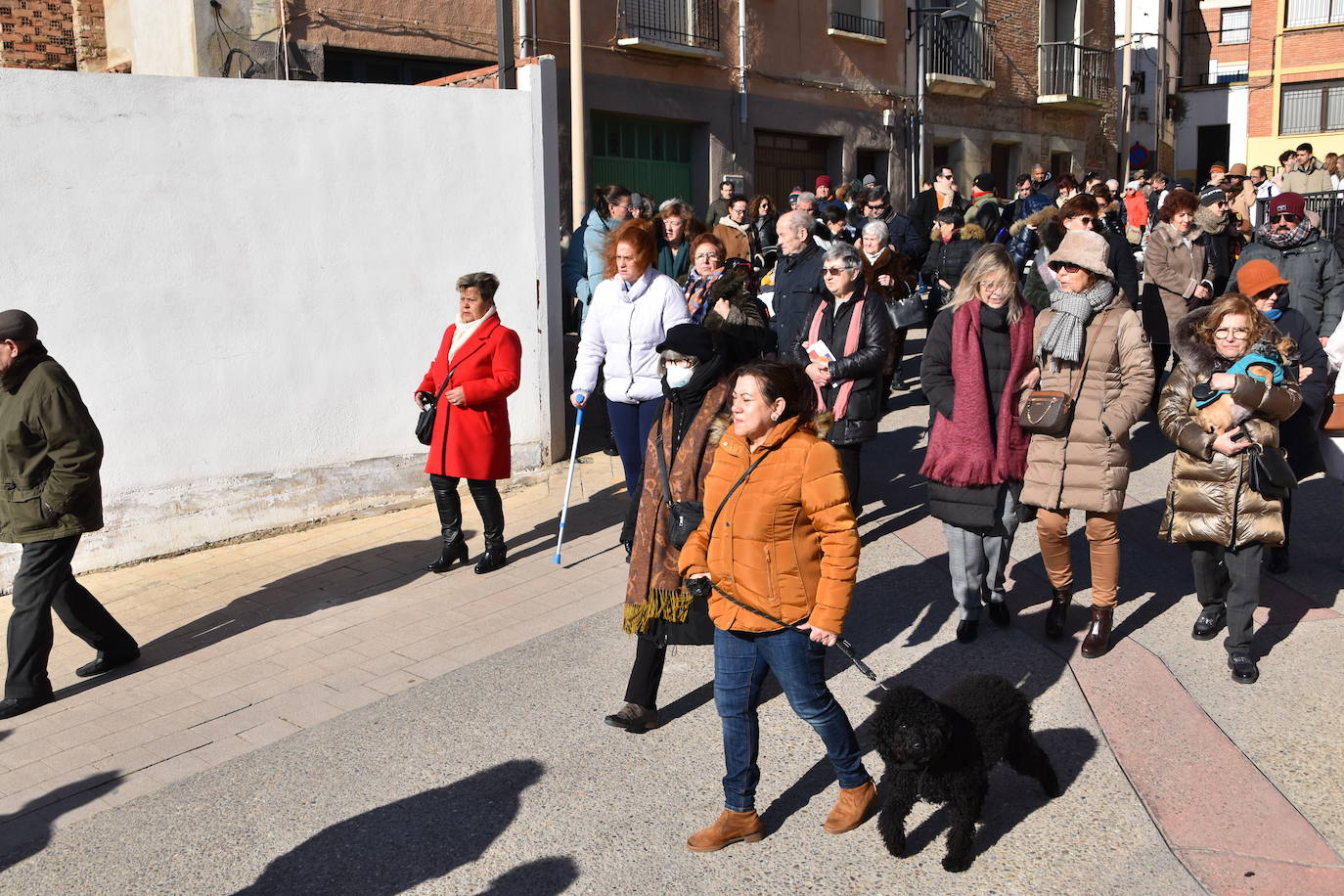 Fotos: Actos de San Antón en Calahorra