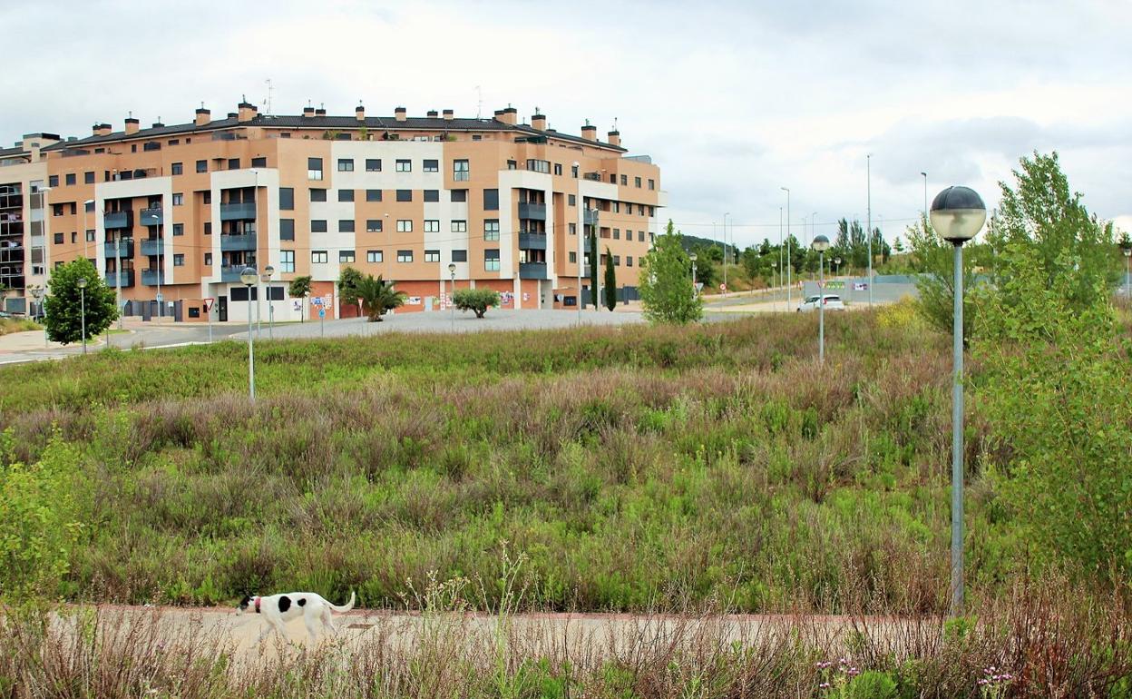 Jardines sin mantenimiento en el barrio Entre Ríos de Lardero, en una imagen de archivo. 