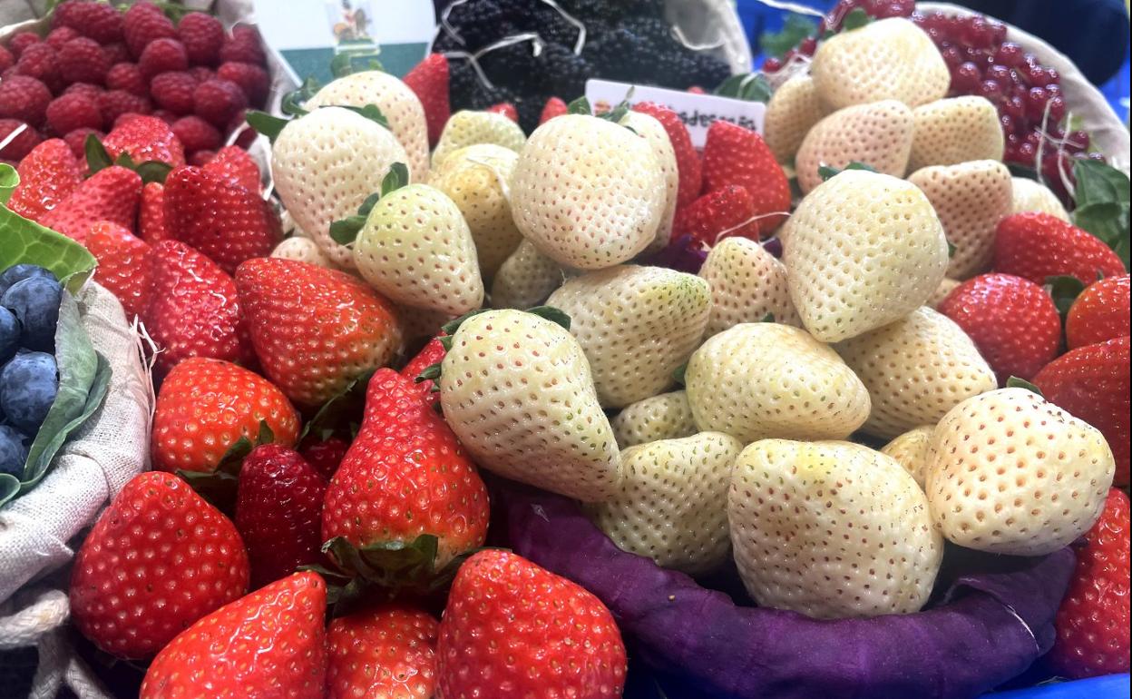 Fresas rojas y blancas, con otras bayas, en un frutero en Madrid Fusión. 