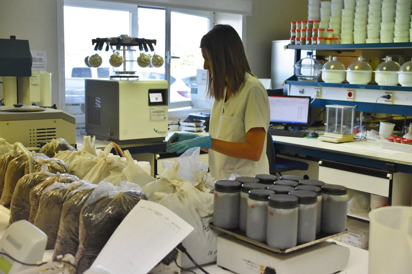 Laboratorio del Centro Tecnológico de Investigación del Champiñón (CTICH) en Autol. 