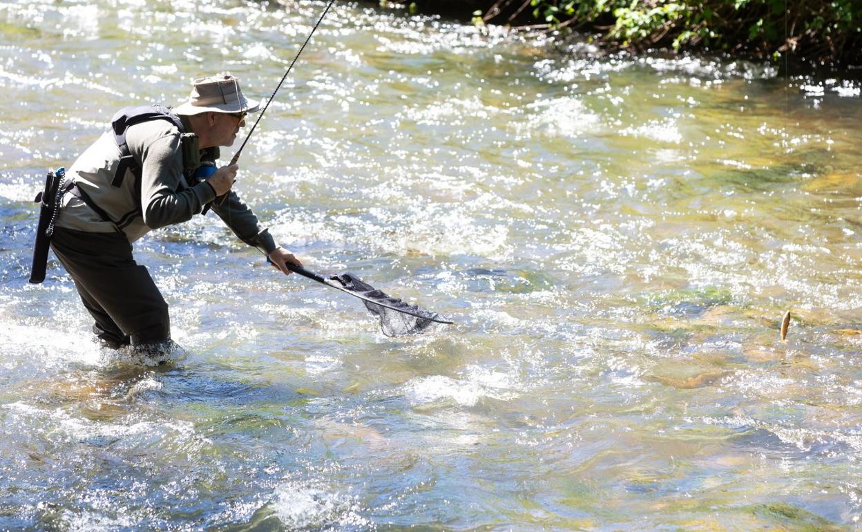 Un pescador practica la pesca en el río Iregua, a la altura de Torrecilla en Cameros. 