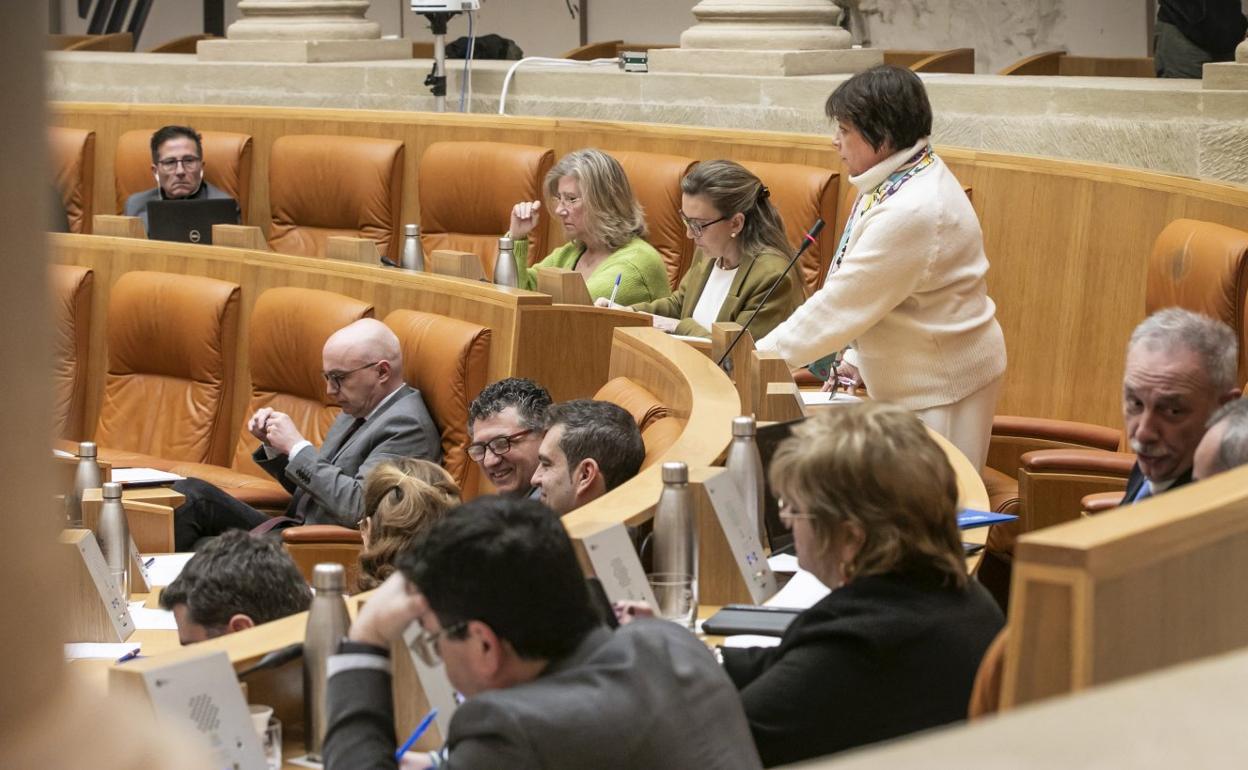 La diputada Moreno interviene en el pleno. 