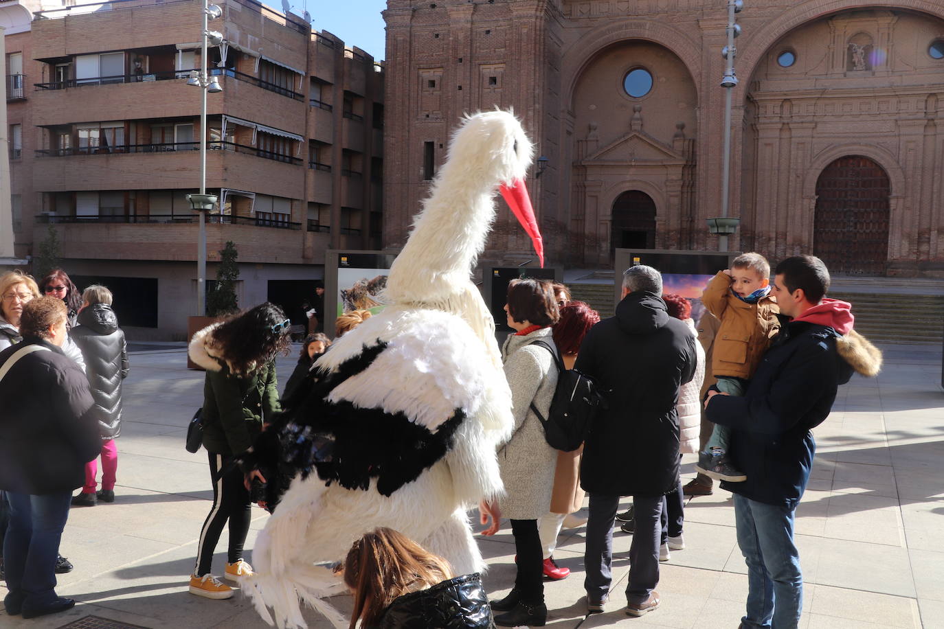 Fotos: Alfaro celebra el Día de la Cigüeña