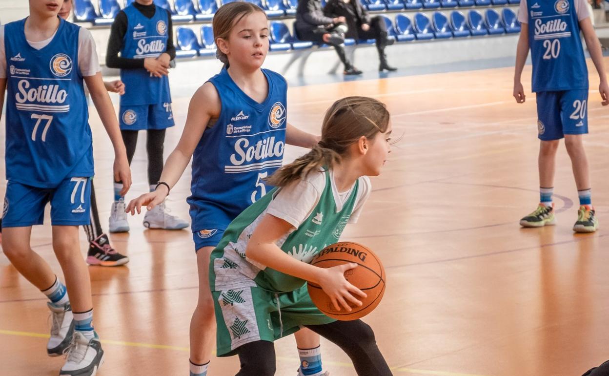 El San Millán, epicentro del minibasket riojano