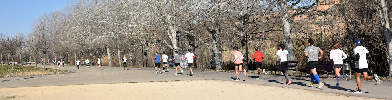 Fotos: Quinientas personas participan en &#039;En Logroño se corre&#039;