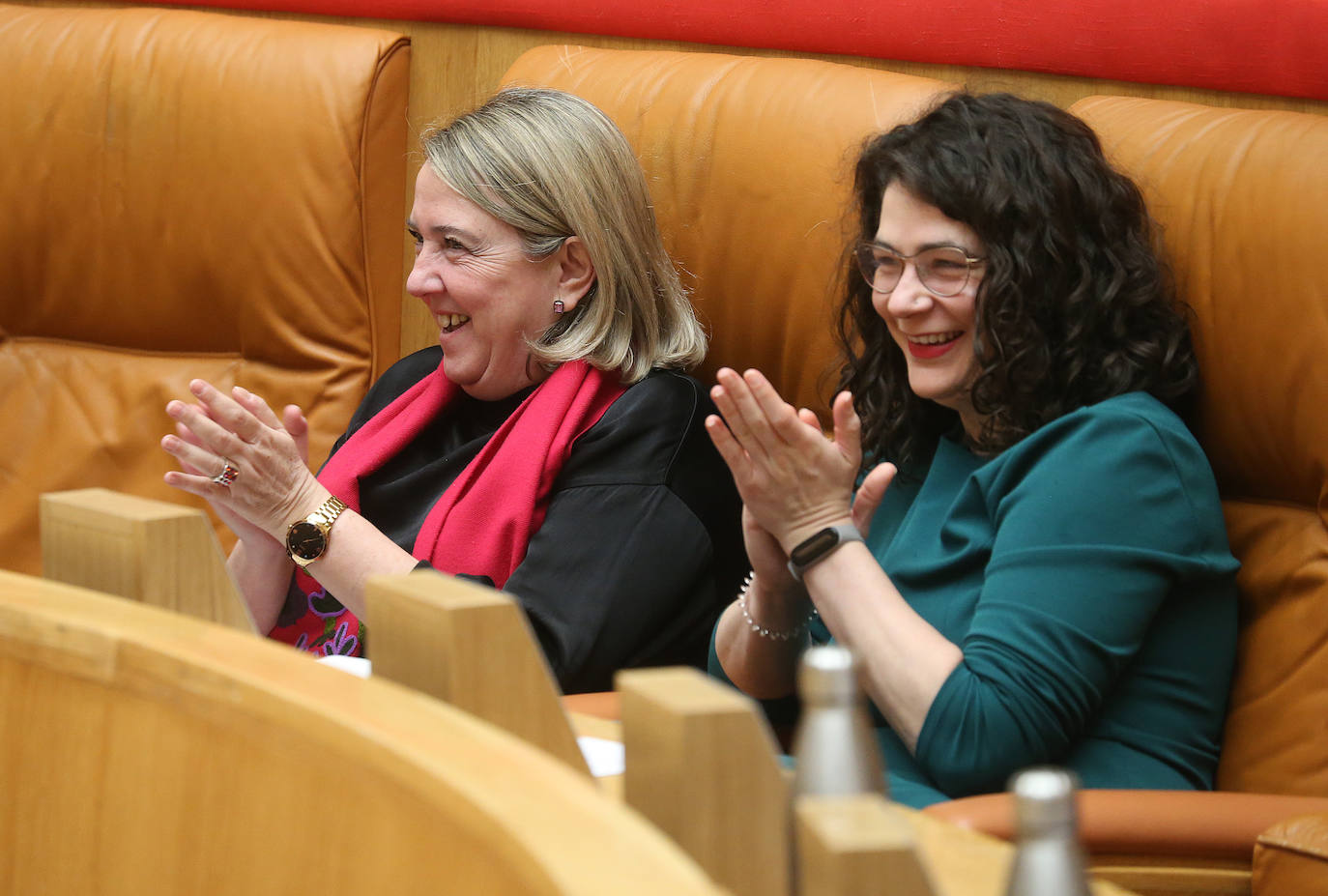 Fotos: Las imágenes del Pleno del Parlamento de La Rioja