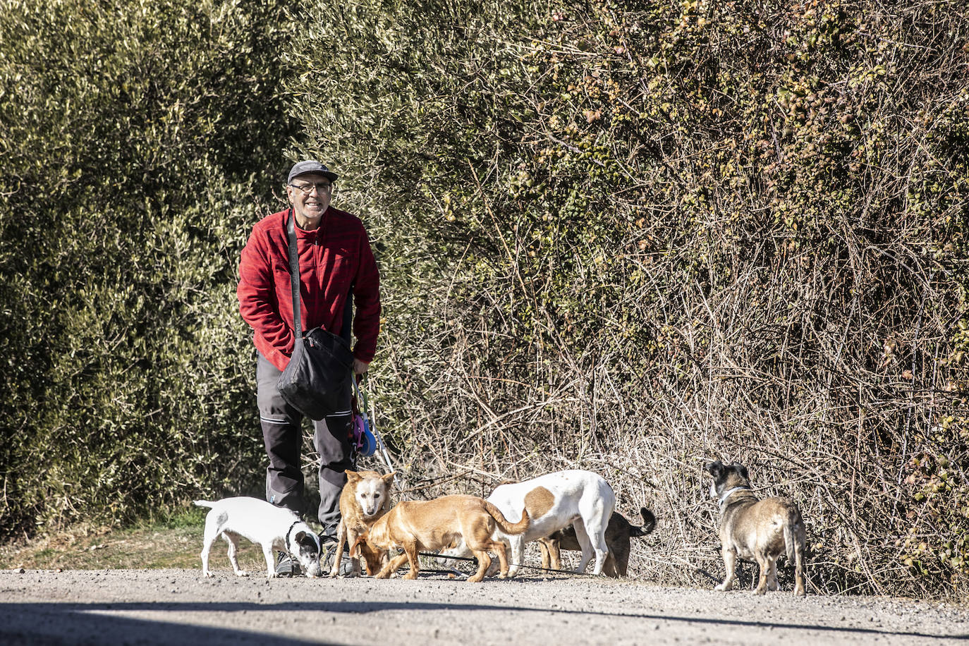 Jesús Carazo con sus tres perros y sus tres apadrinados. 