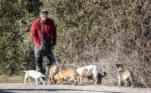 Jesús Carazo pasea sus perros y otros de APA-Rioja. 