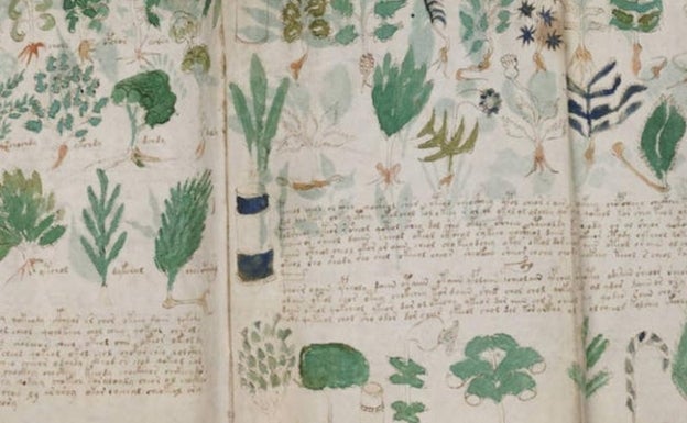 Una de las páginas desplegables del Manuscrito Voynich.