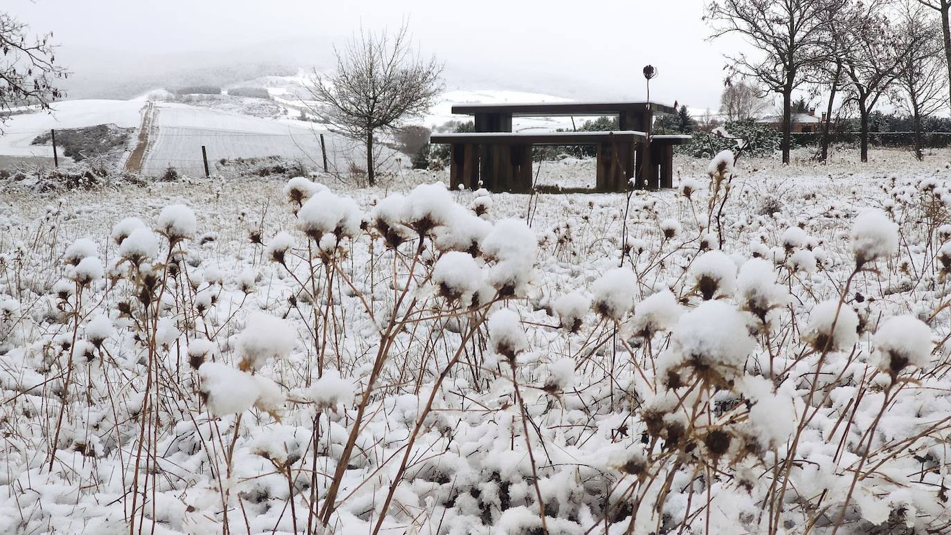 Santo Domingo de la Calzada