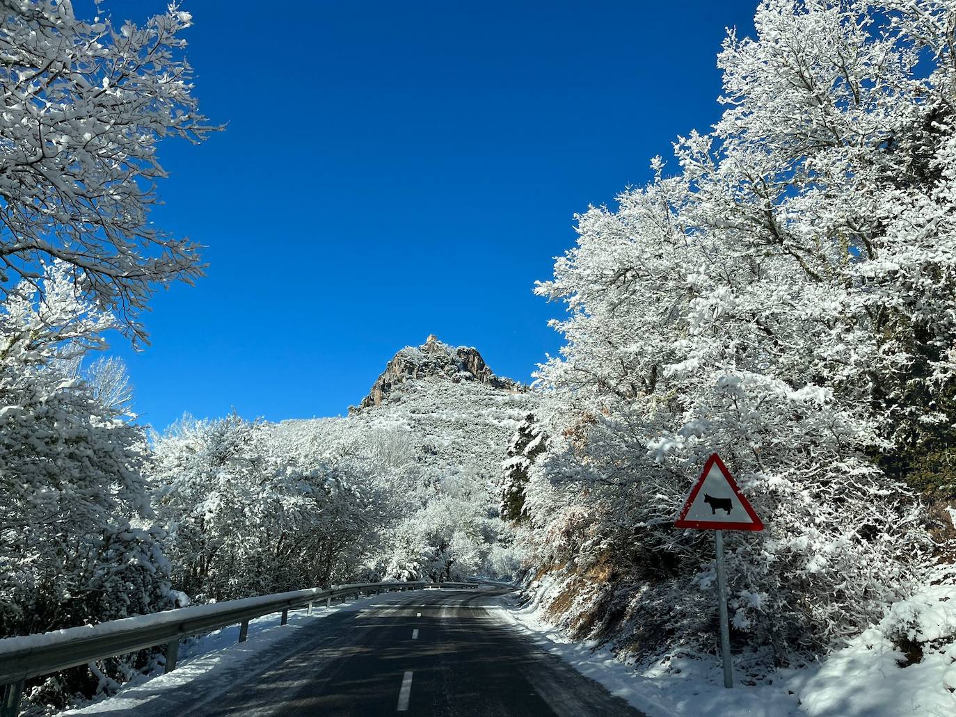 Camero Nuevo, entre Nieva y El Rasillo