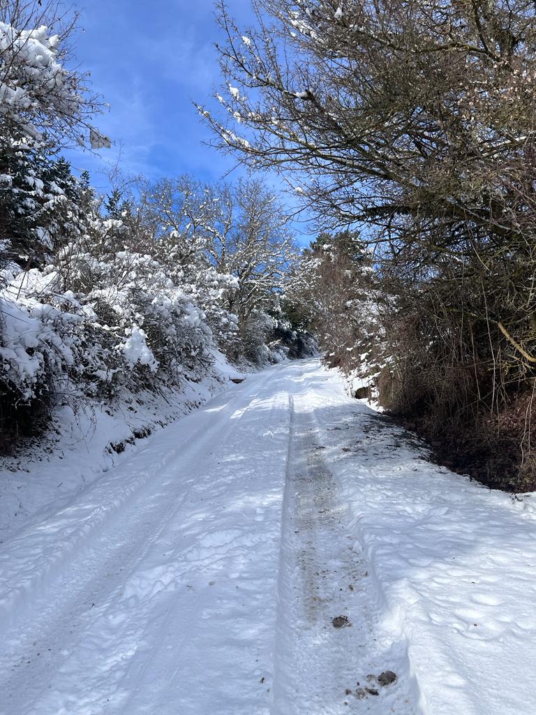 Fotos: La nieve deja blancos los montes de El Rasillo y Ortigosa